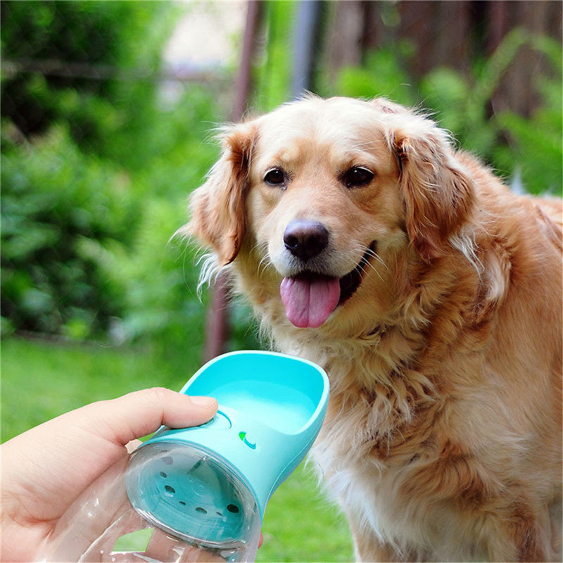 Portable Pet Water Bottle – 350 mL & 550 mL — product image